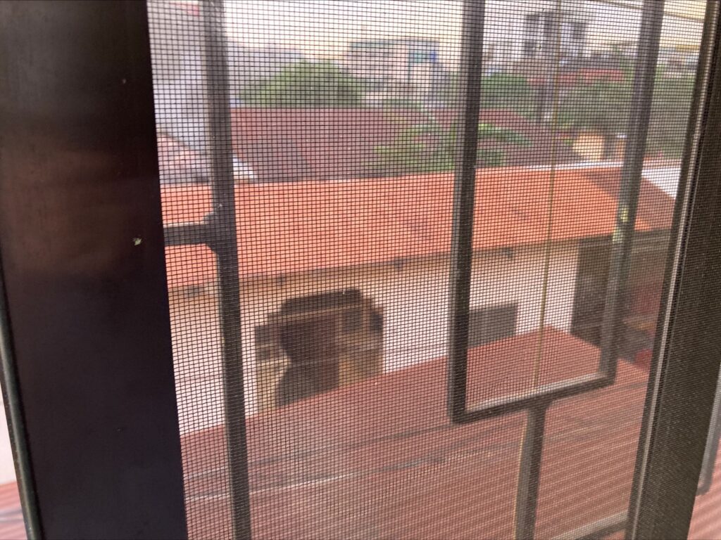 フィリピン・セブマンダウェシティの賃貸アパート　月6000ペソ