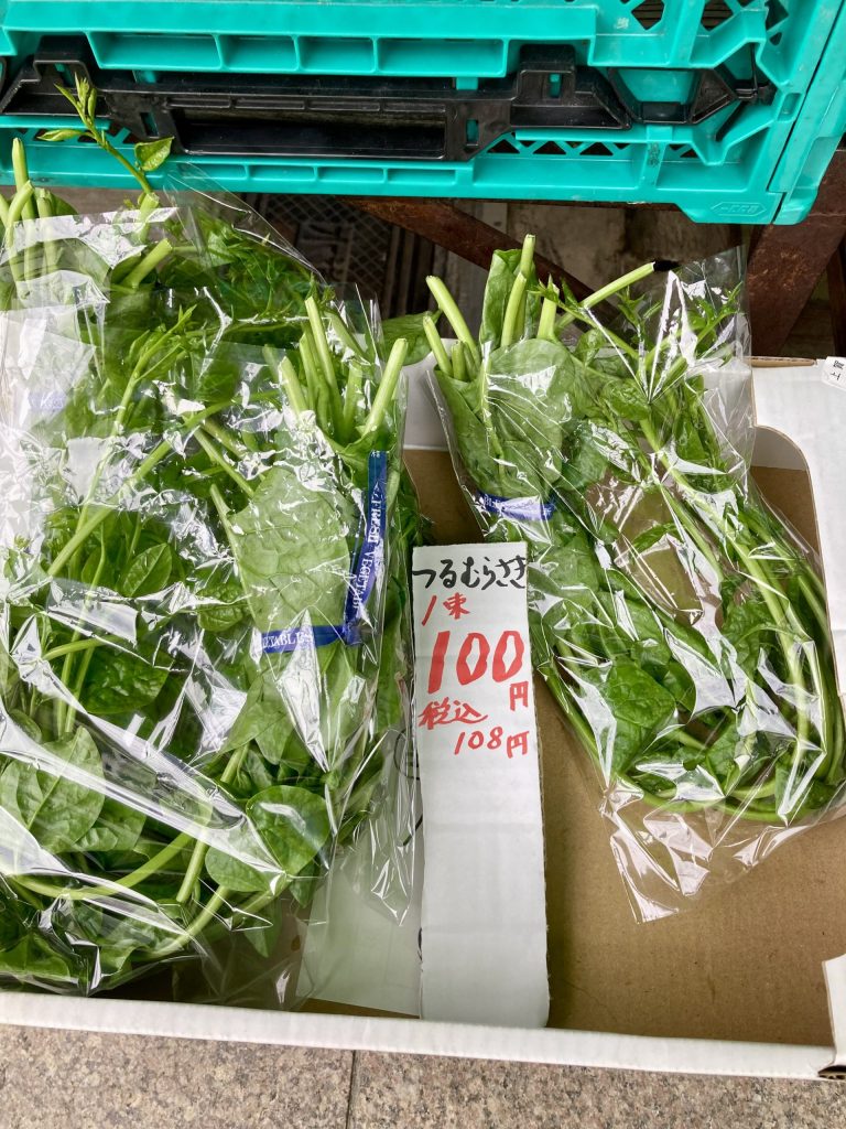 つるむらさき（アロバテ）in京都