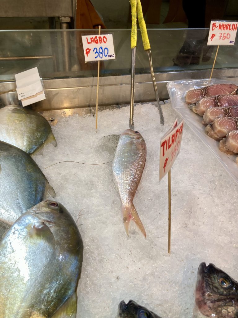 フィリピンの魚Lagao