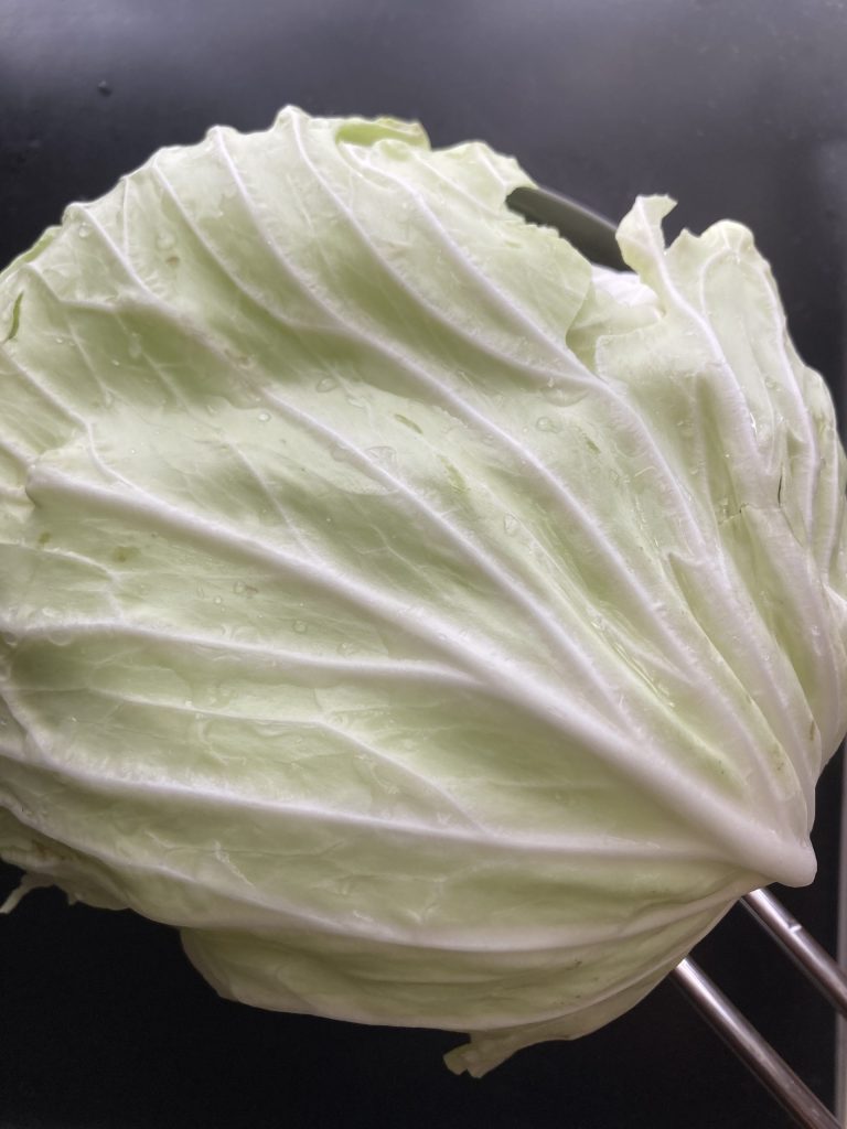 リュウジ　鶏肉とキャベツのもつ鍋風　レシピ