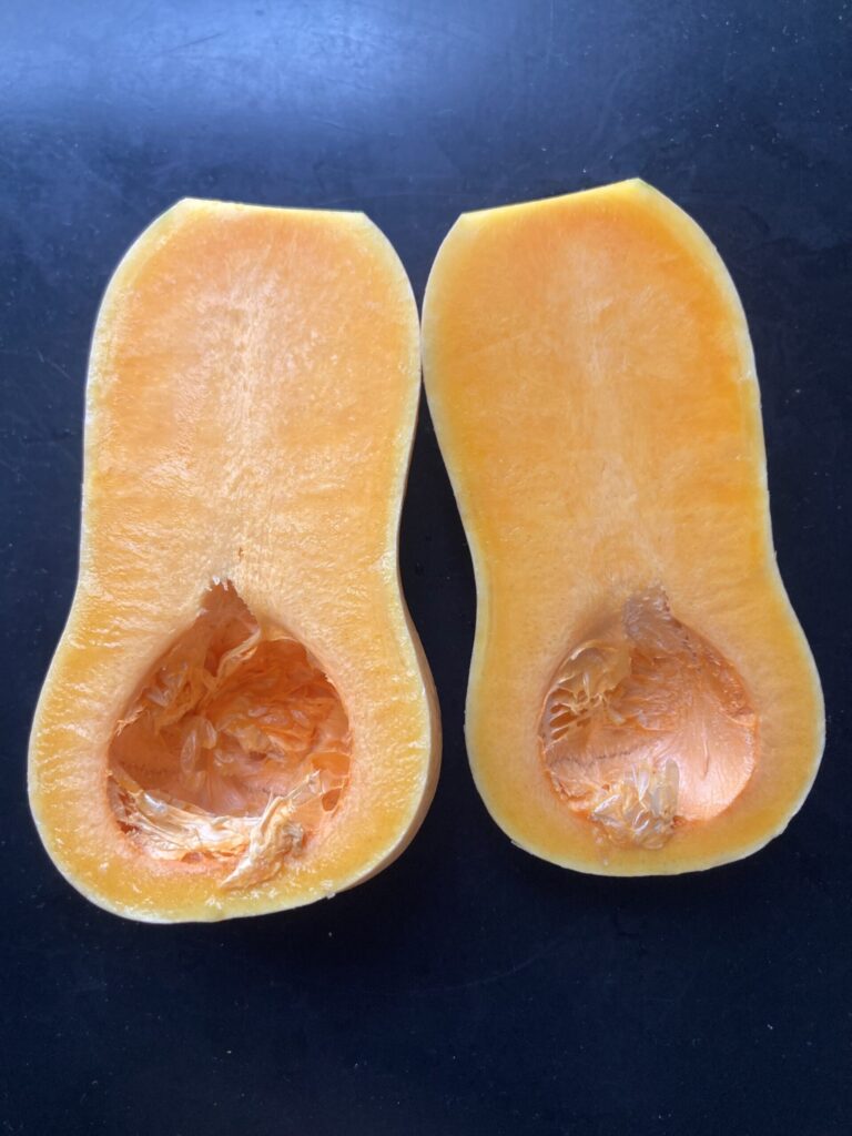 フィリピンのバターナッツかぼちゃ(Butternut squash)