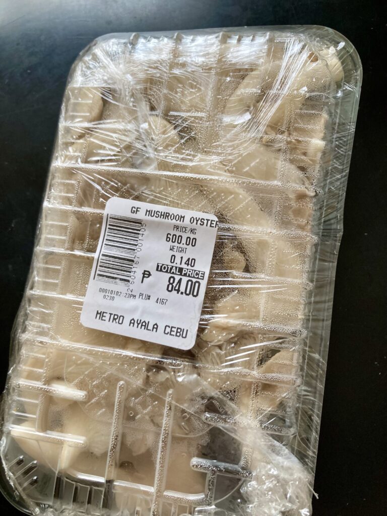 平茸 Oyster mushroom フィリピン